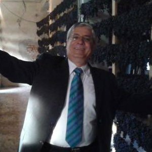 Osair Ribeiro