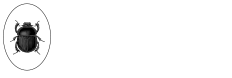 Browns Club Logo